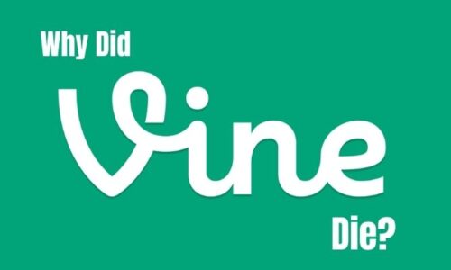 why did vine die
