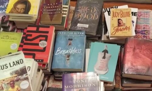 books ban in florida